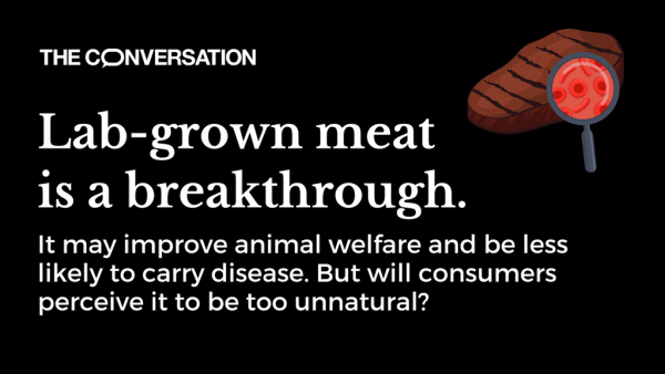 A graphic that reads: "Lab-grown meat is a breakthrough. It may improve animal welfare and be less likely to carry disease. But will consumers perceive it to be too unnatural?" 