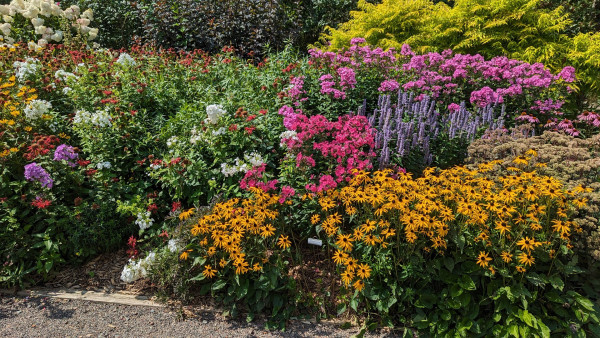 An extremely colorful garden in full sun.  Large swaths oh yellow, orange, pink, and white flowers.