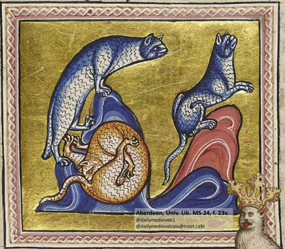 Picture from a medieval manuscript: Two blue cats go on, another one licks itself