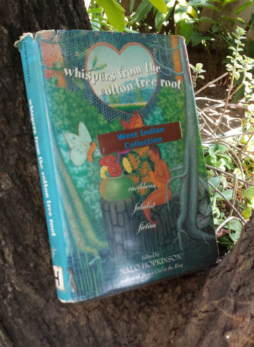Whispers from the Cotton Tree Root, a Caribbean fabulist fiction anthology, is in the crook of two thick branches of a tree in my mother's garden. The front of the book jacket features a lush forest setting with a Brown mermaid sitting on a rock beside a river.