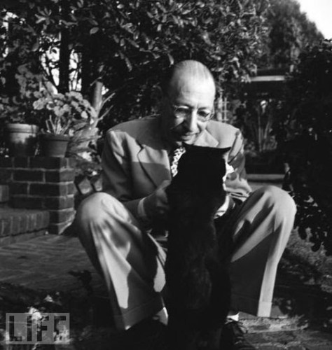 Igor Stravinsky playing with his cat
