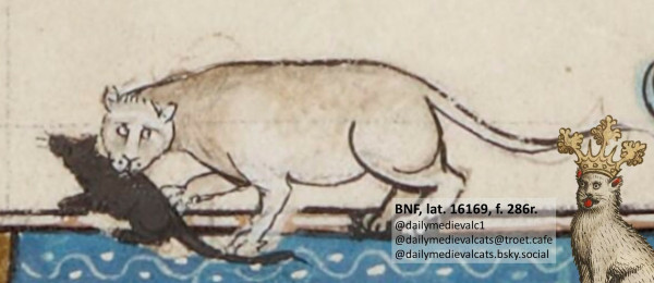 Picture from a medieval manuscript: A white cat with a skeptical look and a mouse in its mouth