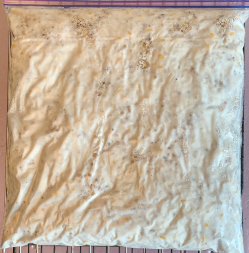 A plastic bag containing an almost pure white slab of tempeh, with just a few places where grain shows through.