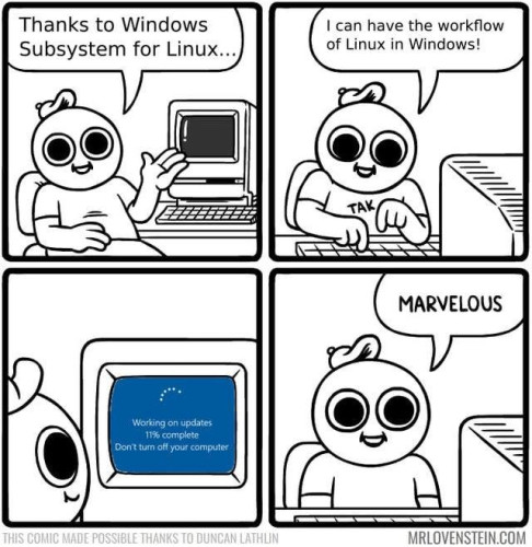 In this meme image, a character sits before a computer and exclaims, "Thanks to the Windows subsystem for Linux, I can have the workflow of Linux in Windows." The character appears to be satisfied with the setup. Suddenly, Windows displays a blue screen and begins applying updates. The screen reads, "Working on updates 11% computer. Don't turn off your computer." The character's expression changes to one of frustration. The character exclaims, "MARVELOUS!" This meme humorously illustrates the common problem of Windows updates causing inconvenience to users.