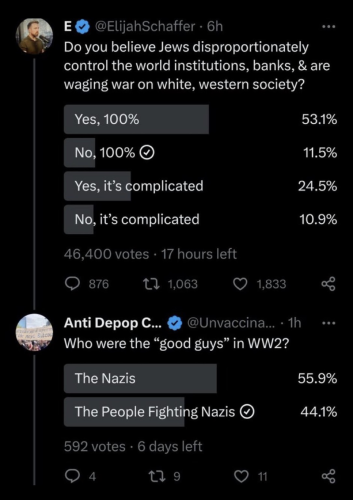 Screenshot saying the Nazis were the good guys in WW2