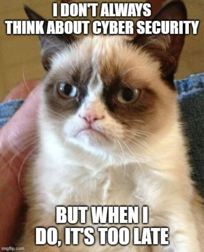 A picture of a grumpy cat with the text "I don't always think about cyber security, but when I do, it's too late."