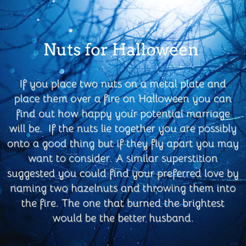 White text on a photo background of bare tree branches. If you place two nuts on a metal plate and place them over a fire on Halloween you can find out how happy your potential marriage will be.  If the nuts lie together you are possibly onto a good thing but if they fly apart you may want to consider. A similar superstition suggested you could find your preferred love by naming two hazelnuts and throwing them into the fire. The one that burned the brightest would be the better husband.