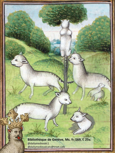 Picture from a medieval manuscript: A bunch oh white cats in the wilderness