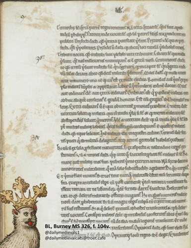 Paw prints on a medieval manuscript