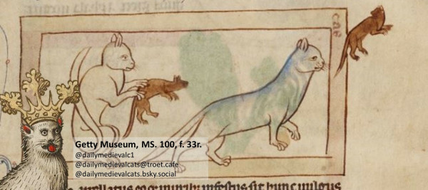 Picture from a medieval manuscript: On the left a cat as a line drawing with a mouse in its paws, on the right a gray cat running after a mouse. It looks as if the mouse is flying