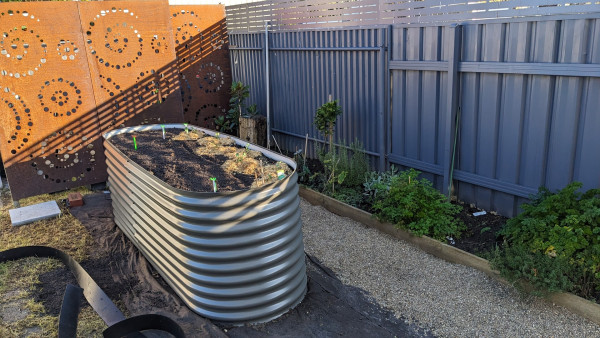 Corrugated iron raised vegetable garden