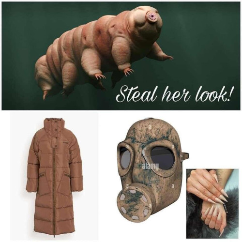A picture of a tardigrade with the text "Steal her look!" Followed by a picture of a brown winter jacket, a gas mask, and a woman's hand with long nails.