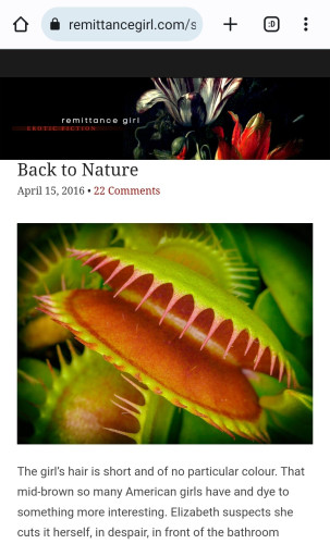 This image is from the top page at the author's site. It contains an image of a Venus Flytrap insect eating plant. A banner. And text. 
