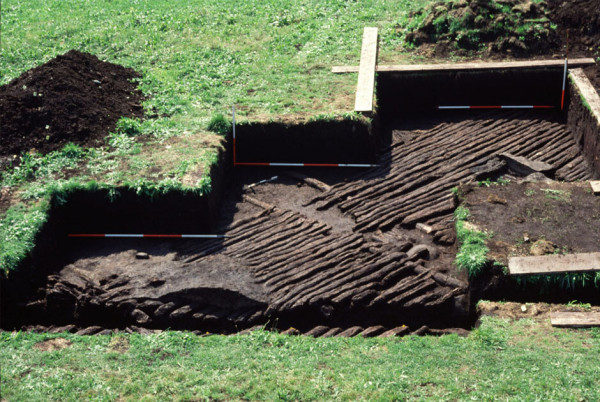 The picture shows the excavation of the floor of a Neolithic house: the wooden beams, placed close to each other, have been very well preserved.