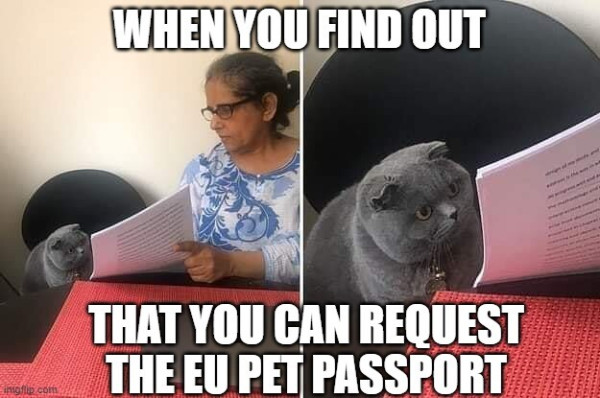 A meme of a woman showing documents to a cat. The cat has a perplexed expression, like someone who has found something new that should have known before. Text: when you find out that you can request the EU Pet Passport.