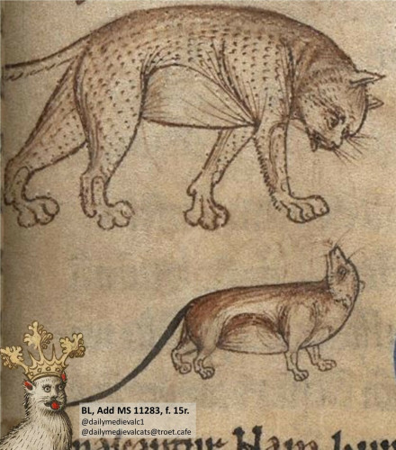 Picture from a medieval manuscript: A cat and a mouse meet