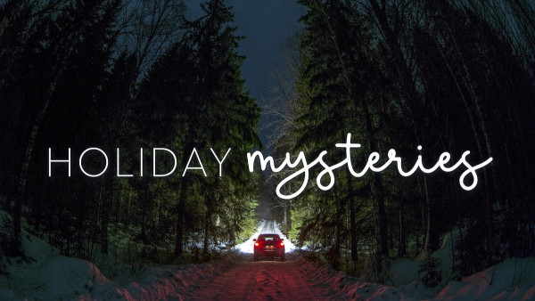 A car driving into a mysterious forest on a dark winter night. Caption reads: Holiday mysteries