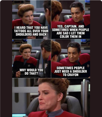 5 panel Star Trek meme featuring Janeway and Chakotay from Voyager

Janeway - I heard that you have tattoos all over your shoulders and back.
Chakotay - Yes, Captain. Sometimes when people are sad I let them color them in
Janeway - Why would you do that?
Chakotay - Sometimes people just need a shoulder to crayon
Janeway - Makes a face. Not sure how to describe the face; maybe vaguely disgusted.
