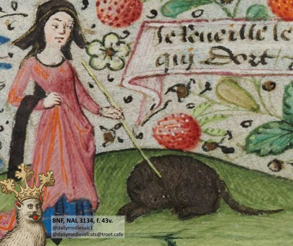 Picture from a medieval manuscript: A woman is poking a sleeping cat with a stick