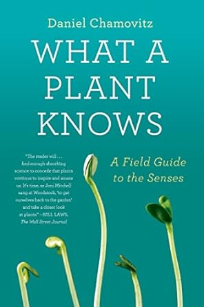 his elegantly written account of plant biology will change the way you see your garden. Chamovitz explores a different human sense in each chapter revealing similarities in the way plants experience the world. They can, for instance, distinguish between light of different colours. They are aware of aromas and also gravity: special plant cells function like our inner ear, allowing roots and growing tips to sense which way is up or down. Plants know when they are being touched. Touch a beech tree's branches and "the tree will remember it was touched. But it won't remember you". Trees even communicate with one another, releasing airborne chemical signals to warn their neighbours when they are attacked by leaf-eating insects. From sequoias to algae, plants have rich and varied sensory inputs. Chamovitz lets us see plants in a new light, one which reveals their true wonder. Genetically they are more complex than many animals and indeed we share some of our genes with plants: "We should see a very long-lost cousin when we gaze at our rosebush in full bloom."