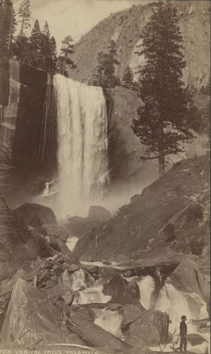 An albumen silver print of a large waterfall, in the foreground is a man standing at the river’s edge among large granite boulders, a large pine tree is to the right of the waterfall.