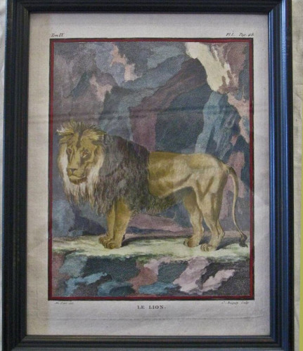 A print of a male lion, hand colored with watercolor. The lion stands outside of a cave, colored with greens, red/browns, and yellows. 