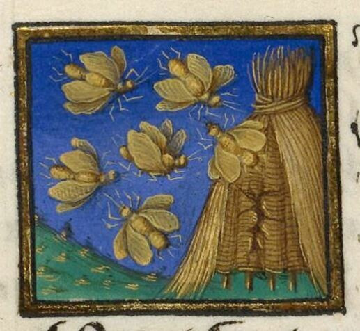 Picture from a medieval manuscript: bees and their hive.