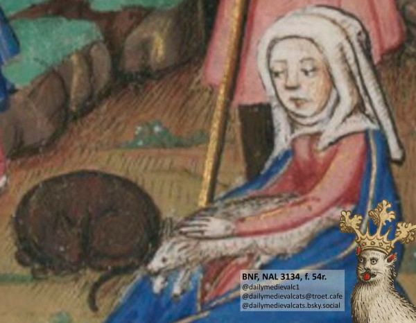 Picture from a medieval manuscript: A woman is stroking a white animal (?) on her back and is watched suspiciously by a brown cat