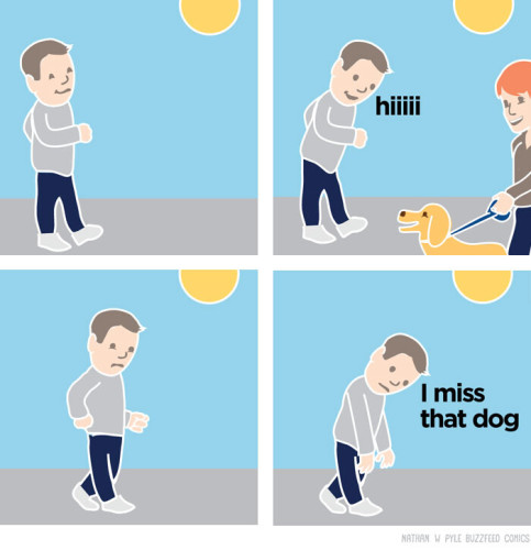 A man is out walking. He sees another person walking their dog. He looks at the dog and says, “Hiiiii”. He walks past the dog. He hangs his head and says to himself, “I miss that dog”. 