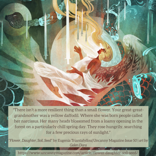 "The cover for Uncanny Magazine Issue 50, “Sharps and Soft” by Galen Dara: A woman lies on her back, palms open upward as a series of swords surround her. Wings unfurl from her back casting an almost protective shield. On the upper left there is the head of a snake, and scattered throughout the image there are pieces of the snake, blood a bright cyan tinge where the swords have cut through. Her dress is white and behind her a bright white moon is visible, and the quote says "There isn’t a more resilient thing than a small flower. 

Your great-great-grandmother was a yellow daffodil. Where she was born people called her narcissus. Her many heads blossomed from a loamy opening in the forest on a particularly chill spring day. They rose hungrily, searching for a few precious rays of sunlight."