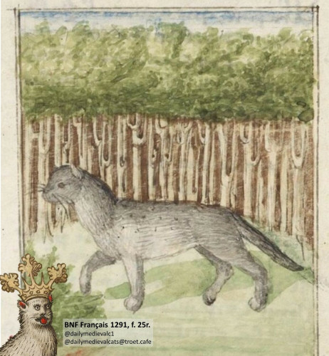 Picture from a medieval manuscript: A grey cat in front, in the back is a forest