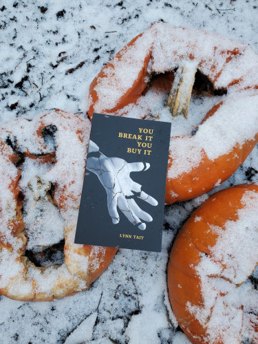 Poetry collection You Break It You Buy It by Lynn Tait (Guernica Editions), with its striking cover image of a cracked porcelain hand, sits on amidst some deflated looking pumpkins frosted with snow