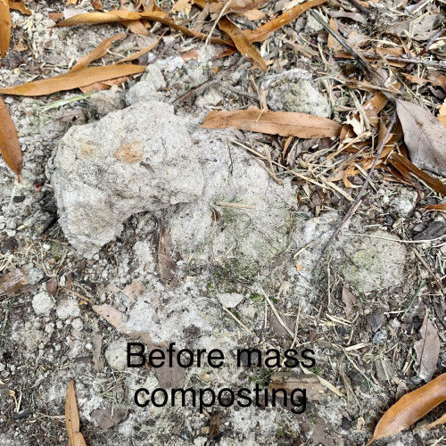 Large clumps of whitish grey clay with some dried brown leaves scattered over up. This is in an area that received no compost. Water sits on the clay and doesn’t absorb into the ground. 