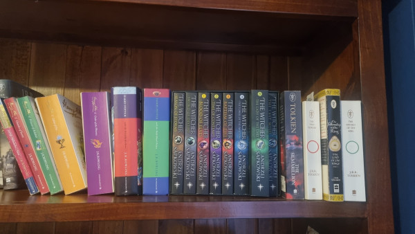 A selection of fantasy novels on a bookshelf. All the novels contain elves, such as Harry Potter,  the Witcher series,  and Lord of the Rings trilogy 