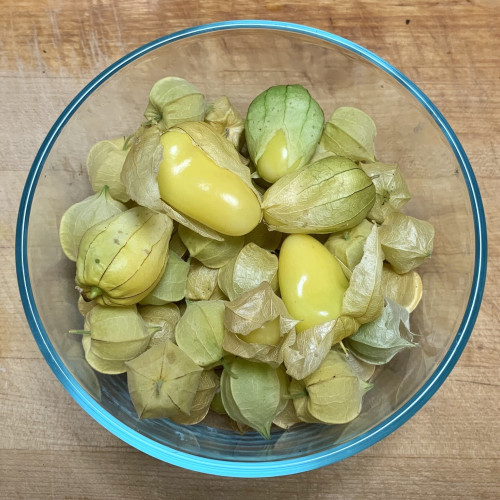 In a glass bowl on a wooden countertop are loads of physalis berries and fruits. The bowl’s edge is reflecting light so it appears to glow light blue. 

The native physalis berries are small and round in pale yellow papery husks. One berry in the center of the bowl is opened to show the yellow pearl-like berry. 

The queen of minalco tomatillos are slightly irregular shaped, sort of lanceolate with a rounded tip and dented in at the top like a banana or Anaheim pepper. 