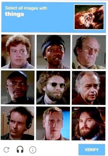 A parody of the captcha screens where you click all the images that feature something. This one says "Select all images with *things* and has pictures of all the cast from the John Carpenter movie 