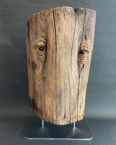 tronc d'arbre sculpté en forme de visage, un peu dans le style de Groot.
A section of tree trunk, well aged, has been mounted on a metal base, and has had two eyes carved into a couple of indents, possibly natural or possibly carved skillfully, giving the suggestion that the tree, in its grotesquely mutilated form, is looking at the viewer, wearily.