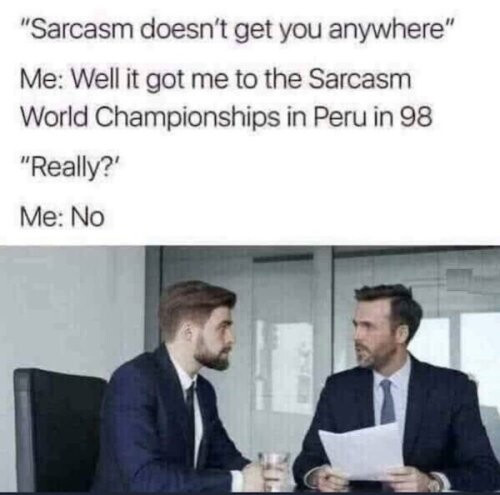 Two people are chatting in a meeting room. The text says :

"Sarcasm doesn't get you anywhere” Me: Well it got me to the Sarcasm World Championships in Peru in 98 "Really?”’ Me: No

