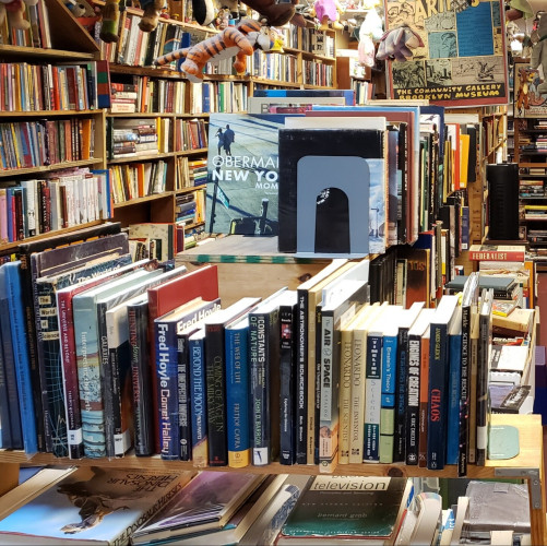Left half of a wider photo showing decorative toys and book-filled shelves in the left and center aisles of Bonnett's Books, approximately halfway to three-quarters of the way toward the back of the shop.