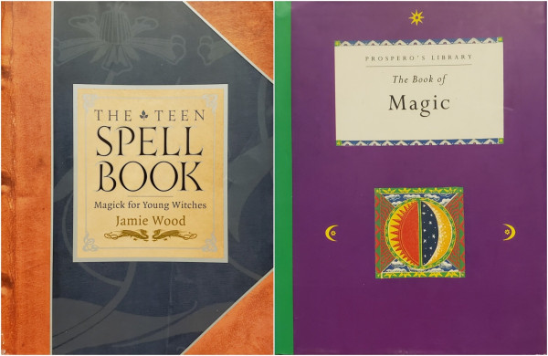 A composite photo of two modern witchcraft books.

———

THE TEEN SPELL BOOK.
Magick for Young Witches.
Jamie Wood.

This trade paperback is printed to look like a fancy leather trimmed journal.

———

PROSPERO'S LIBRARY.
The Book of Magic.

A small hardcover book in a colorful jacket with small design motifs featuring the sun, moon, and sky.

###