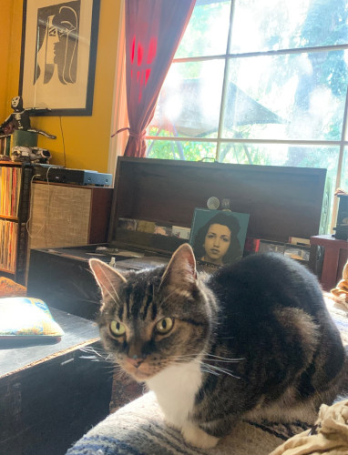 Kitty Kitty Bang Bang listens to Coin Coin Chapter Four with me. The album is in the background on the turntable- speakers and a Picasso lithograph are also seen. 