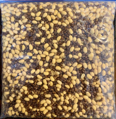A plastic bag lying flat, filled with a mix of soybeans and dark purple barley.