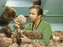 The trouble with tribbles scene from Star Trek  TOS.