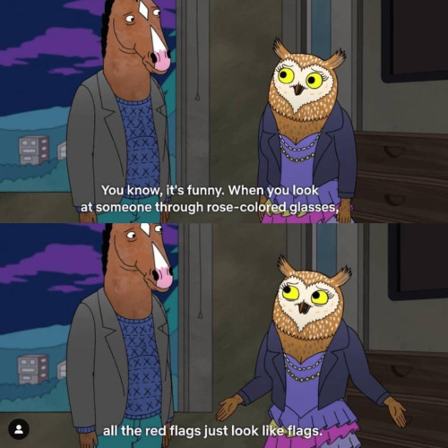 Wanda speaking to Bojack Horseman. “You know, it's funny. When you look at someone through rose-colofed glasses, all the red flags just look like flags.”