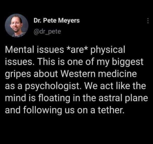 Dr. Pete Meyers
@dr_pete 

Mental issues *are* physical issues. This is one of my biggest gripes about Western medicine as a psychologist. We act like the mind is floating in the astral plane and following us on a tether. 