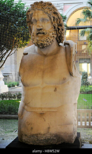 Head and torso of the god Zeus or Jupiter. Arms and legs are missing. The god is depicted as a mature bearded man with a himation draped over his left shoulder. The statue was made of white marble but used to be painted like all ancient statues.