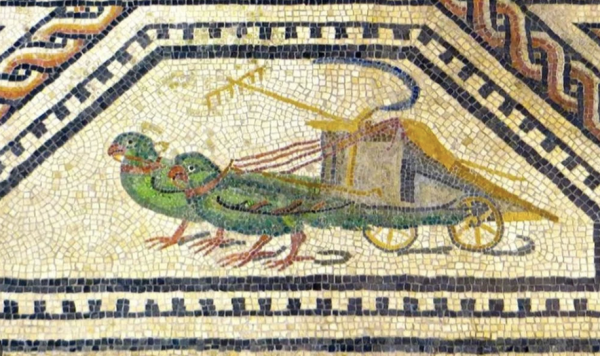 Roman mosaic of two green parakeets pulling a chariot 
