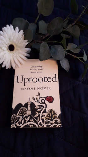 The cover of Uprooted by Naomi Novik shows an stylized picture of a tower surrounded by trees and a thorny vine that has grown a red rose. 