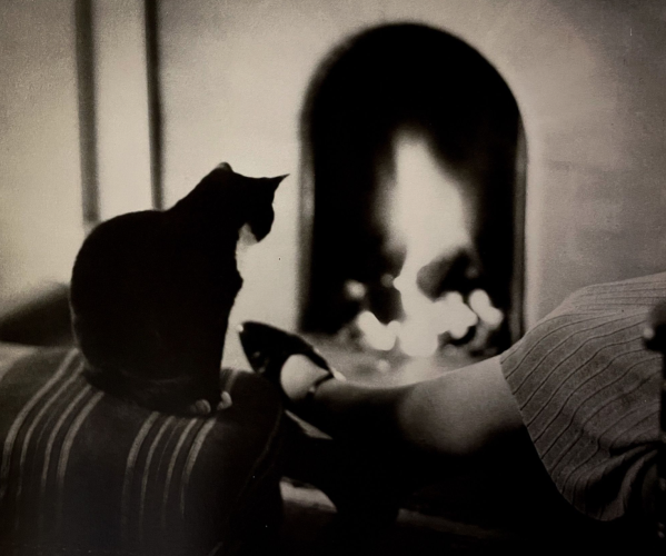 High contrast black and white photo of a shorthaired black tuxedo cat facing away from the camera, seeming to gaze into an out of focus fireplace across the room. A woman’s legs cross the photo, propped up and relaxed. It’s a cozy scene.