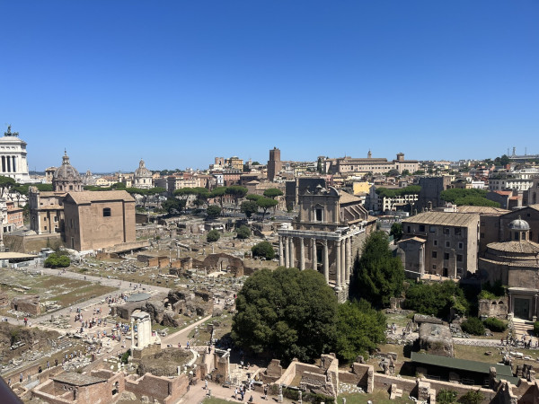 Picture looking over the ancient Roman forum from the Palatine hill including a view of the Curia and aedes Vestae.